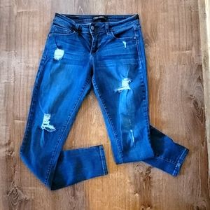 Fran denim skinny jeans